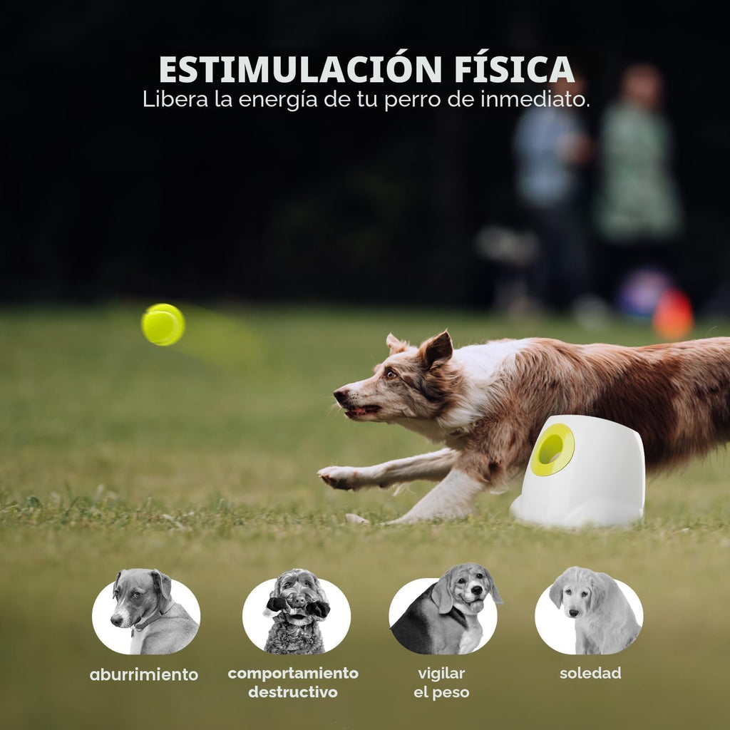 ALL FOR PAWS Lanzador automático de bolas para perros, máquina inte...