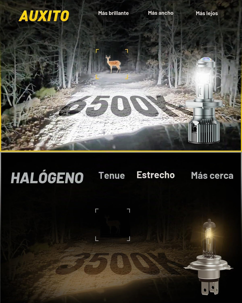 AUXITO Bombilla LED 9003, brillo de 80000 lúmenes, 6500 K, blanco P...