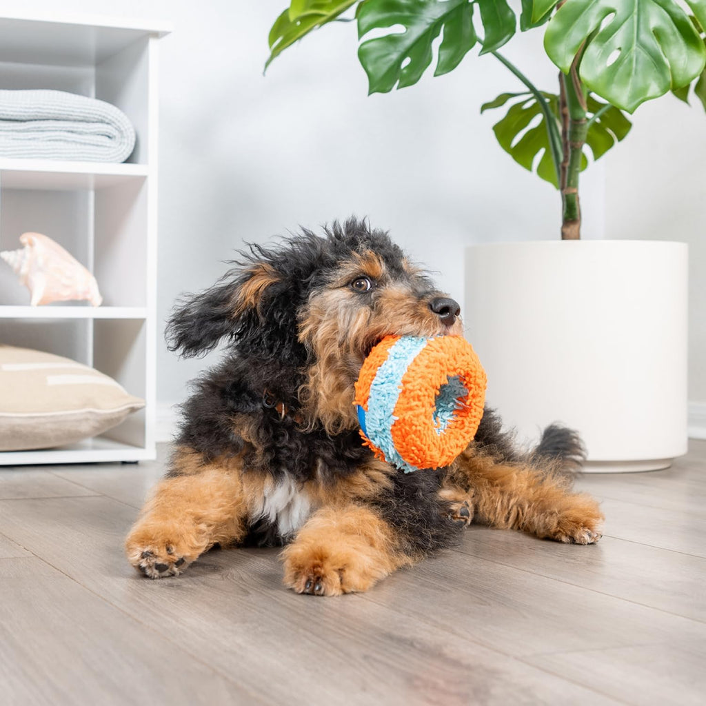 Chuckit! Juguete Rodillo para Buscar en Interiores para Perros - Ju...