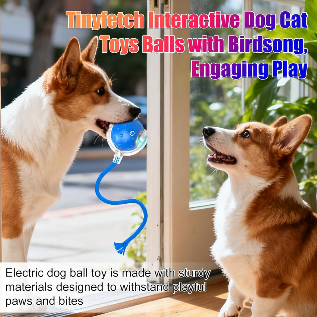 Juguete Tiny Fetch para Perros, Juguetes Interactivos Tinyfetch par...