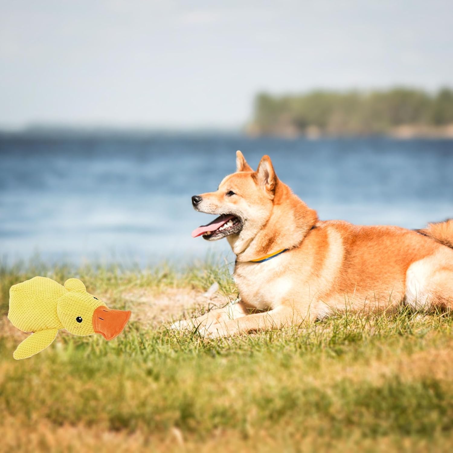 Mellow Dog Calming Duck, Nuevo Juguete para Perros Pato Amarillo 20...
