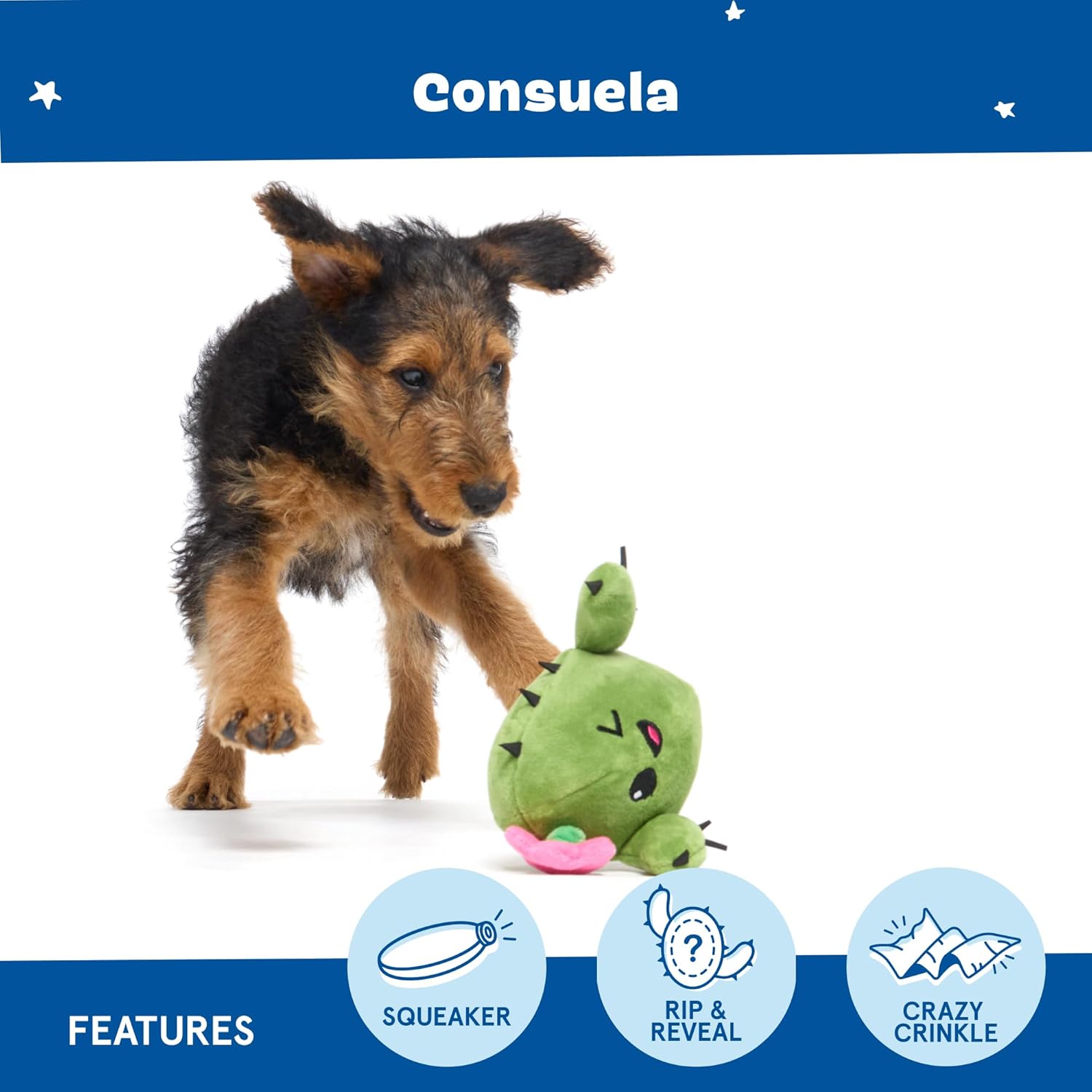 Barkbox Juguete interactivo 2 en 1 de peluche para perros \u2013 Ju...