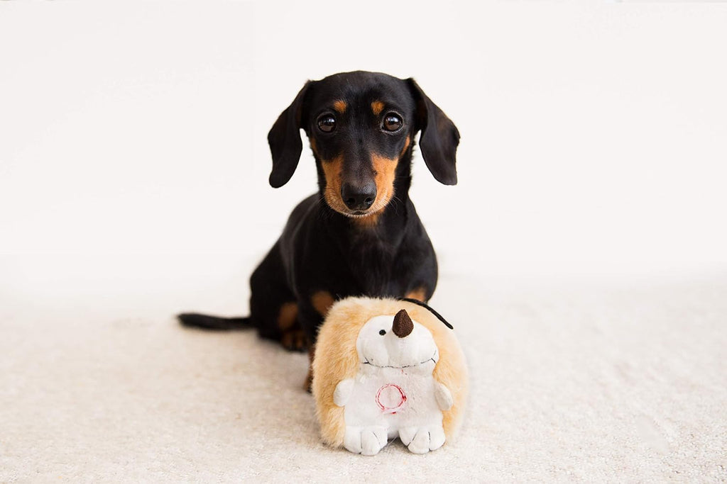 Pet Qwerks Juguetes interactivos de felpa para perros, erizo parlot...
