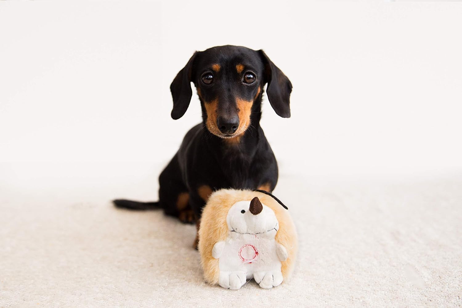 Pet Qwerks Juguetes interactivos de felpa para perros, erizo parlot...