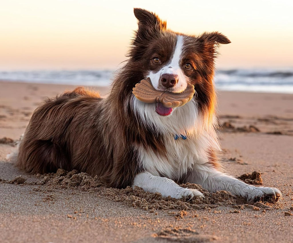 NEZIN Juguetes masticables para perros para masticadores agresivos,...