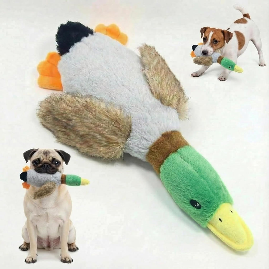 Paw-FECT - Juguete de pato de malardo, juguete de peluche chirriant...