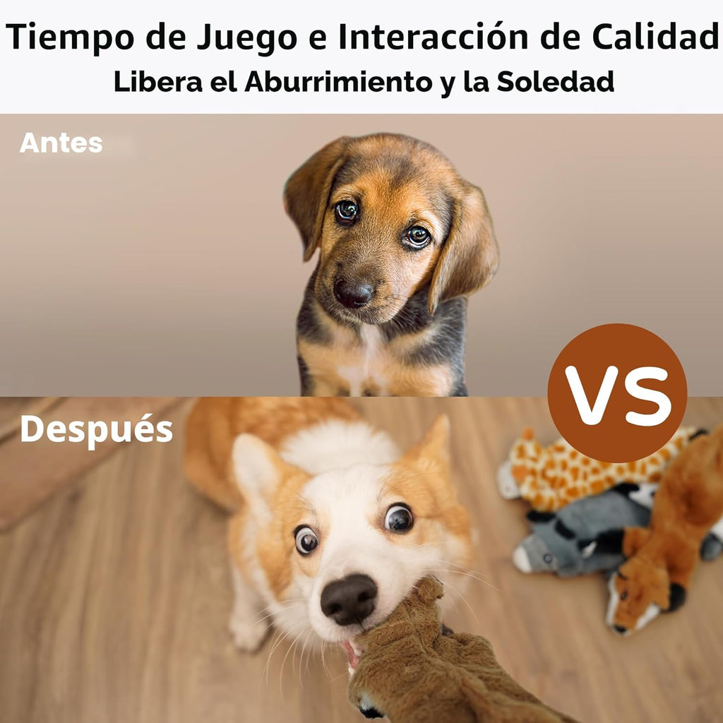 Nocciola Juguetes chirriantes para perros, 5 juguetes de peluche ar...