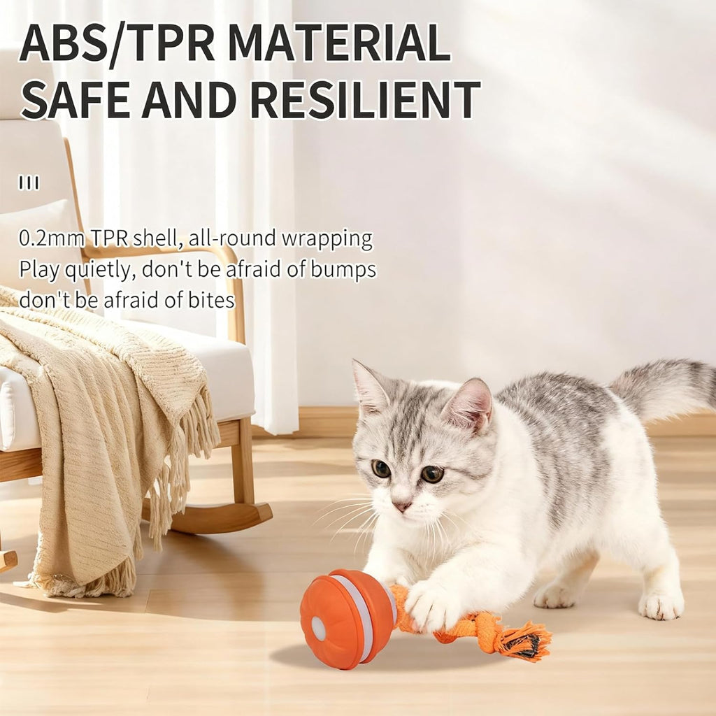 SPGSWCY Juguetes interactivos inteligentes para gatos de interior \...