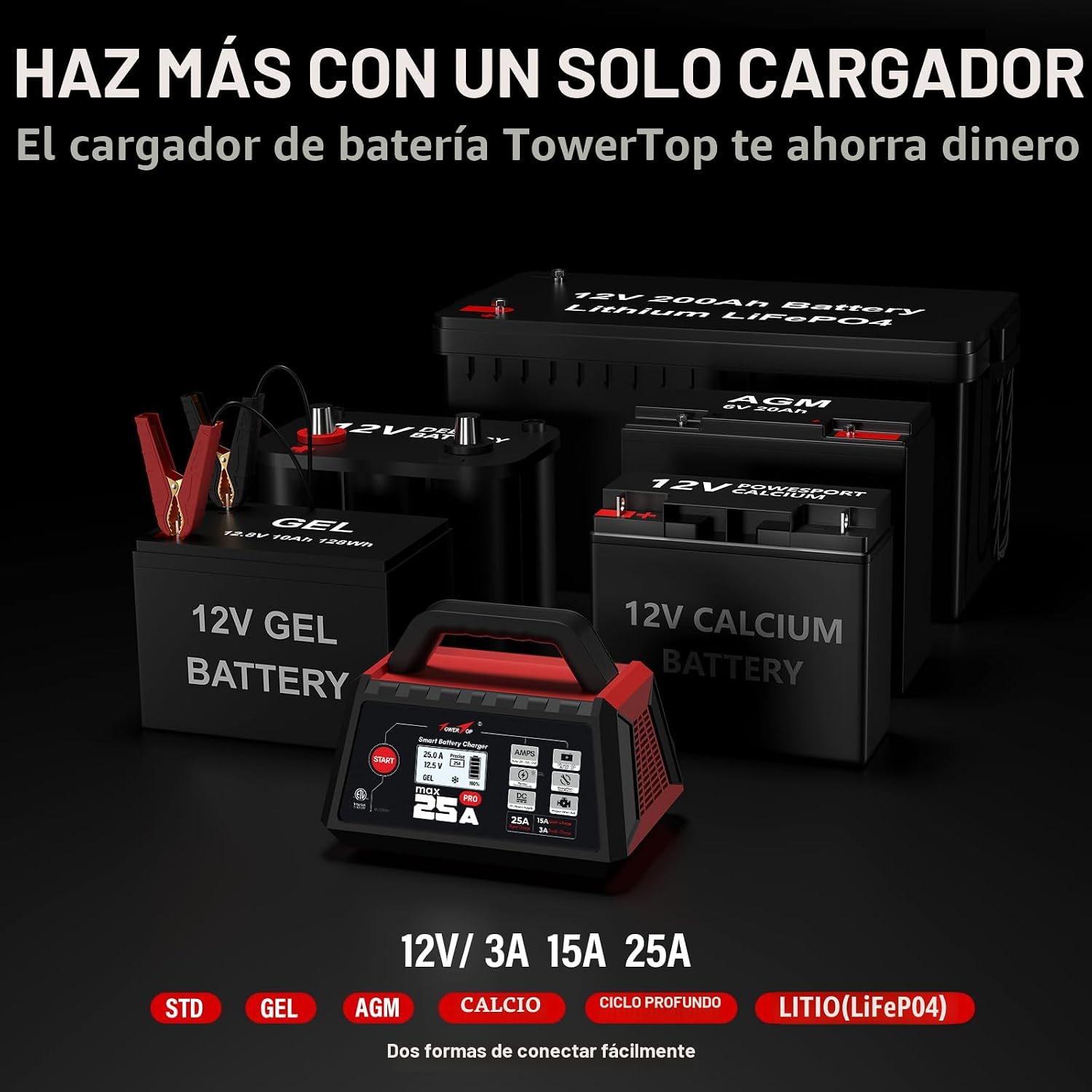 TowerTop Cargador de batería Max Pro de 25 A: Cargador inteligente...