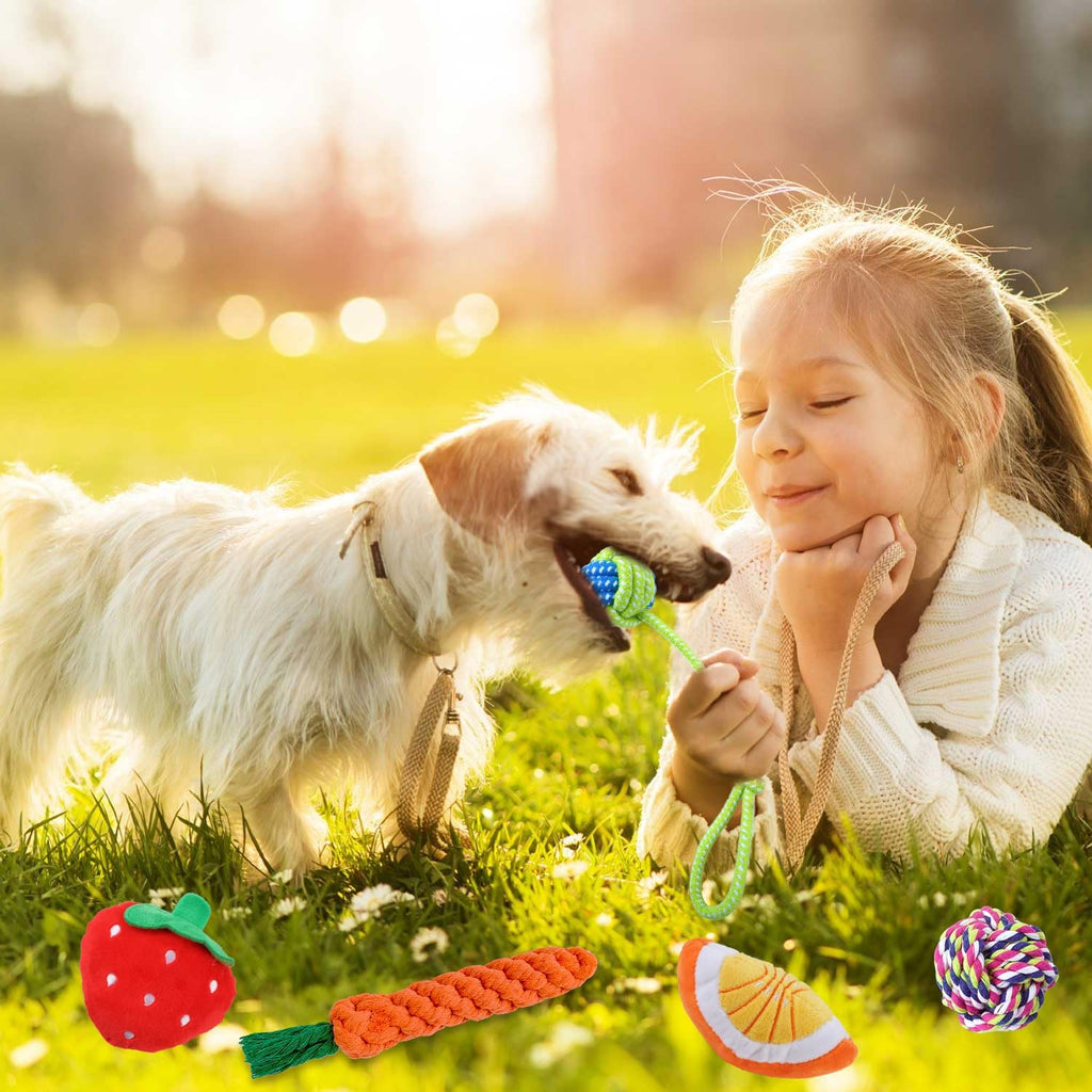 MRSOHRET Paquete de 18 juguetes para perros, juguetes de dentición...