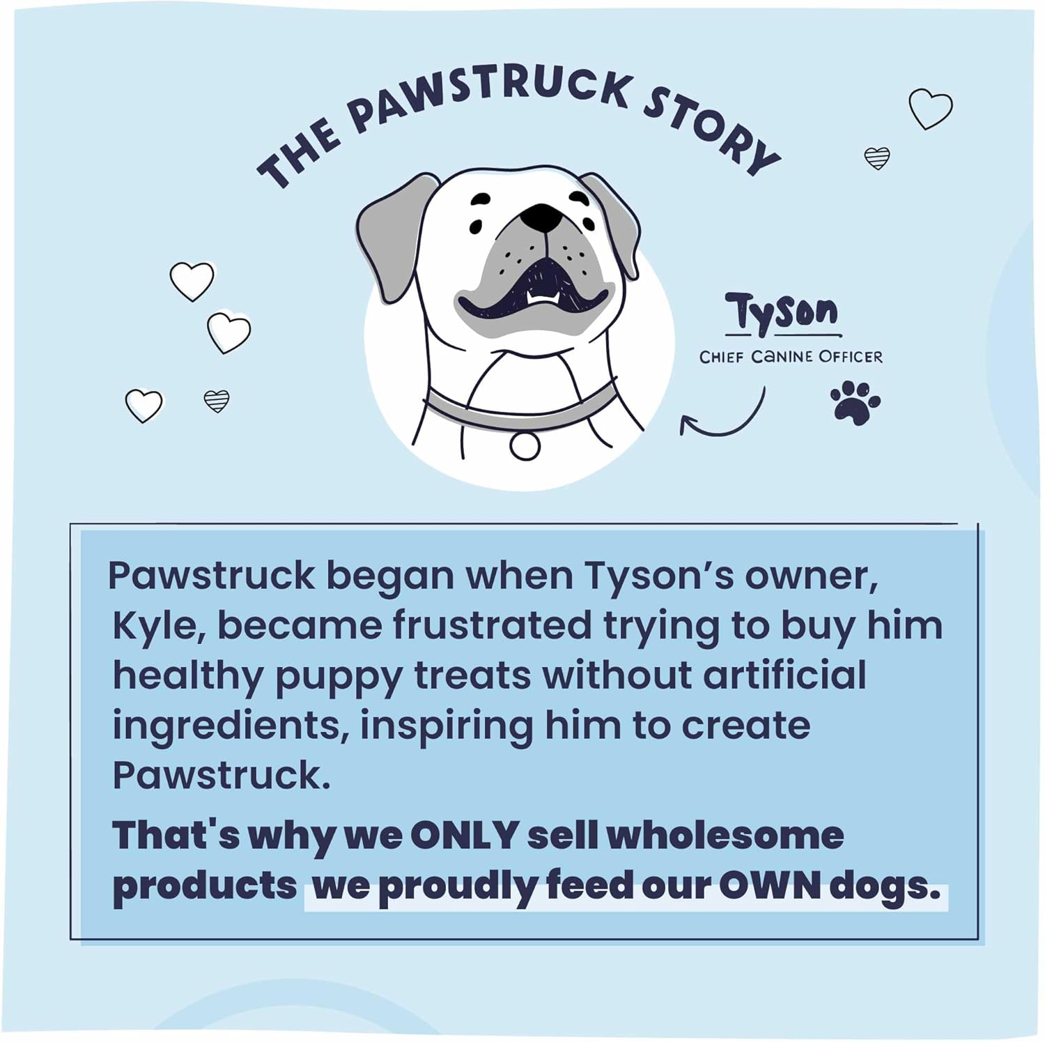Pawstruck - Paquete de variedad de huesos rellenos para perros pequ...
