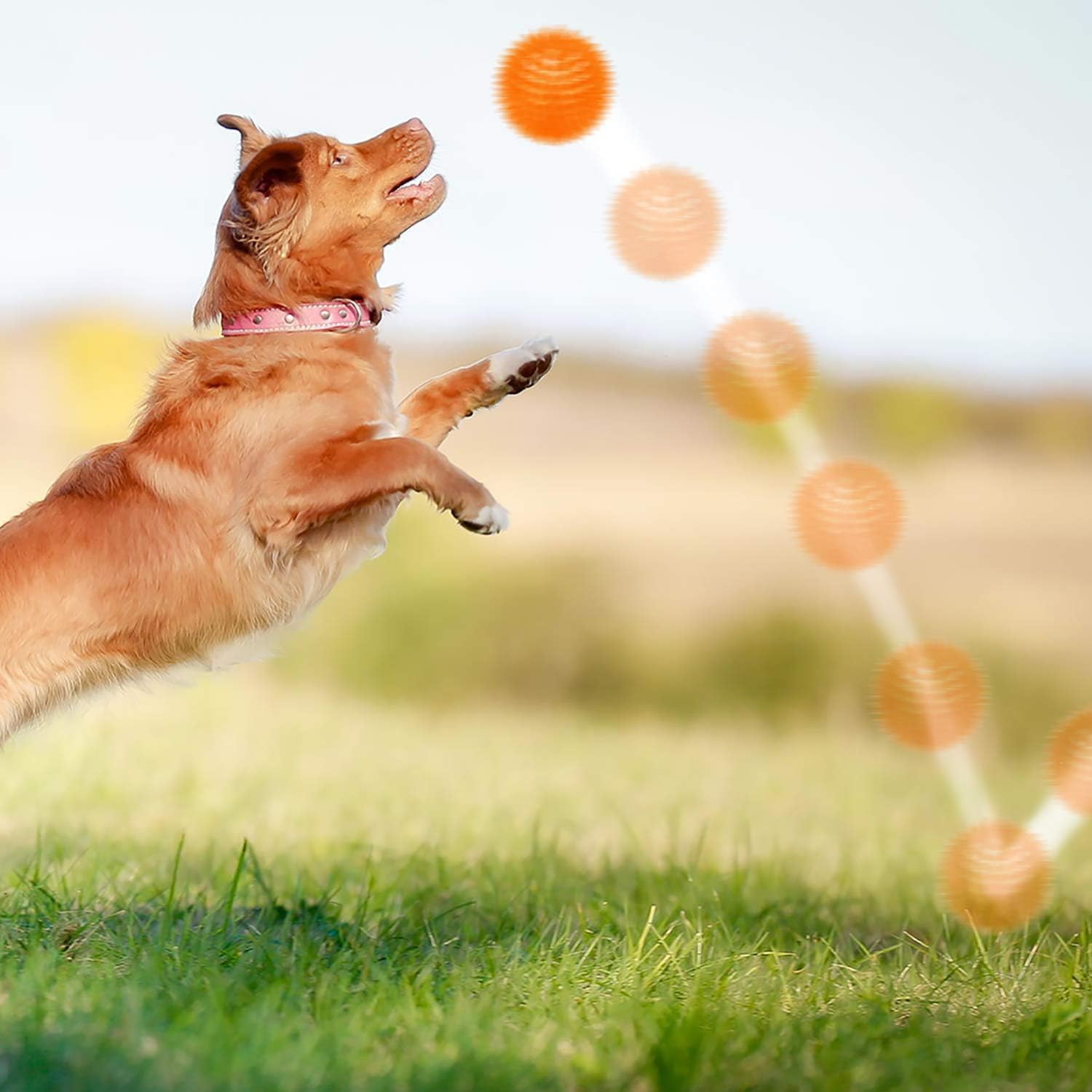 SHARLOVY Bolas chirriantes para mascotas y cachorros pequeños, paqu...