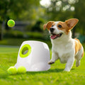 AFP - Lanzador automático de bolas para perros, máquina lanzadora i...