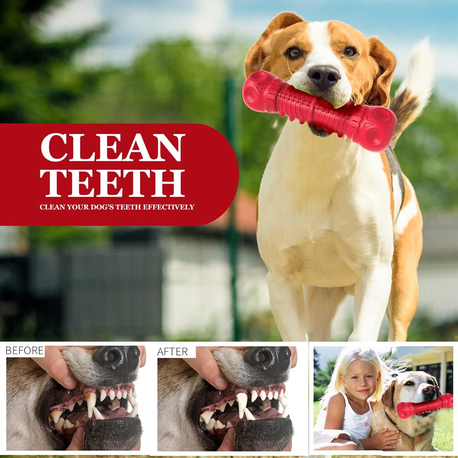 ZIKATON Juguetes chirriantes para perros masticadores agresivos, ju...