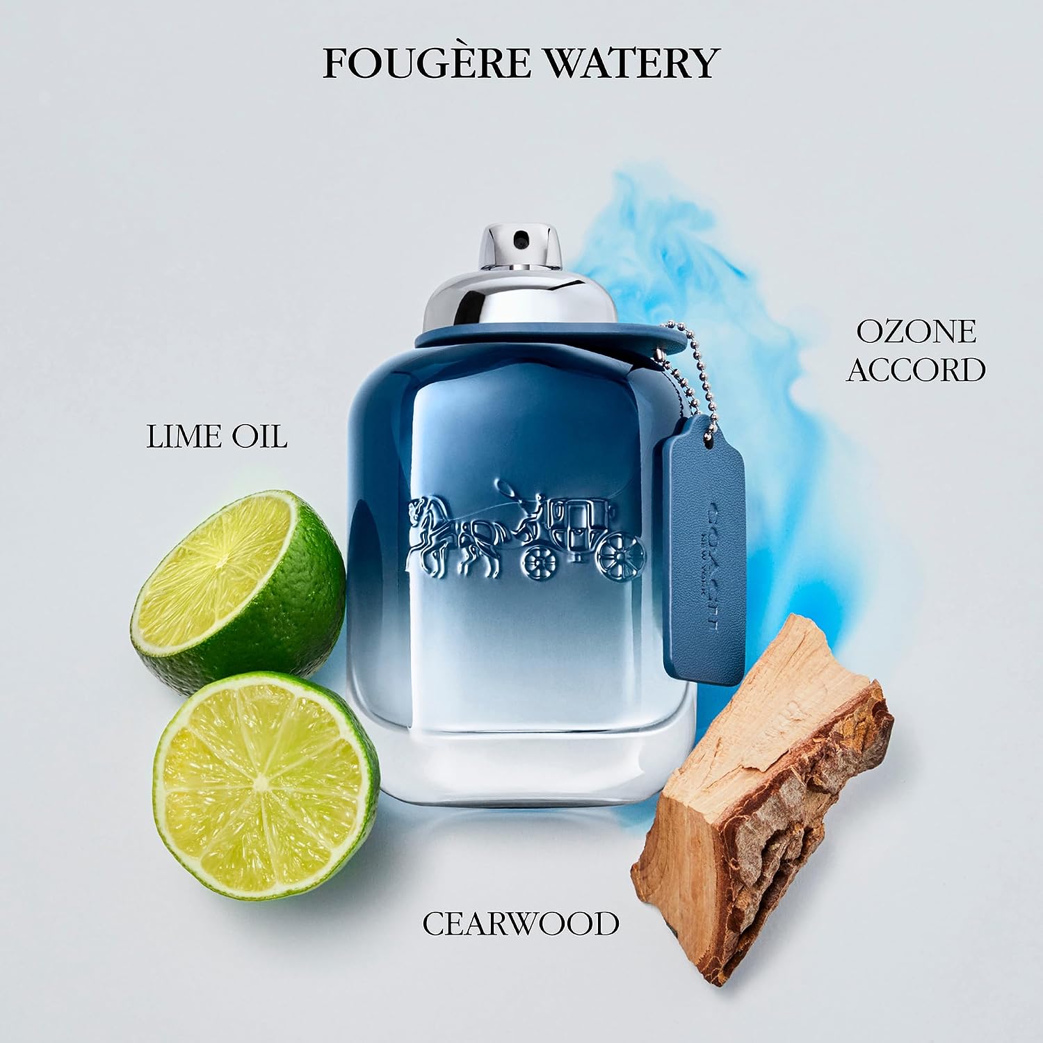 Coach Blue Eau de Toilette - Fragancia masculina - Fougere Watery -...