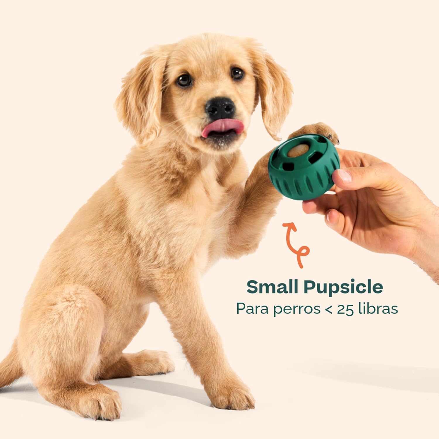 WOOF Pupsicle - Pelota interactiva de larga duración para mantener...