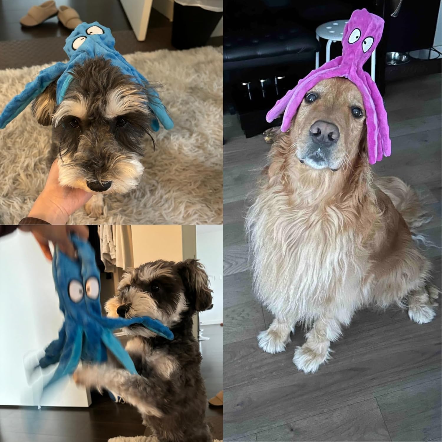 HGB Juguetes chirriantes para perros, pulpo sin relleno, juguetes g...