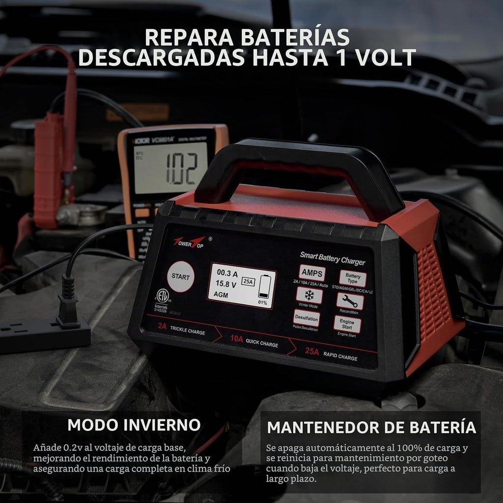 TowerTop Cargador de batería inteligente de coche de 2\/10\/25 ampe...