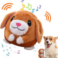 OTXKXBLP Juguete de Peluche Activo en Movimiento, Bolas Rebote Inte...