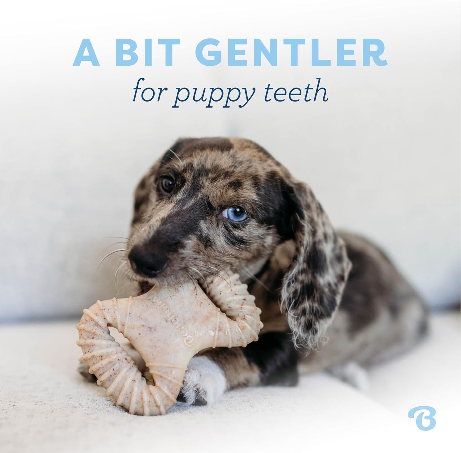 Benebone - Paquete de 2 juguetes para morder dentales\/hueso en for...