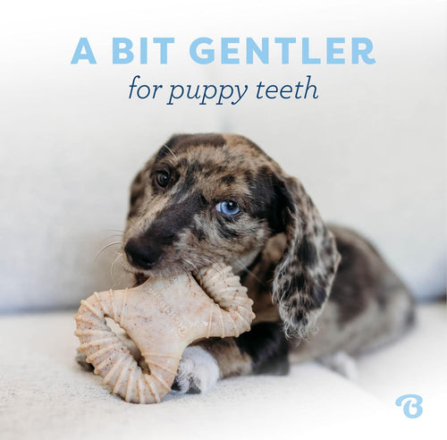 Benebone - Paquete de 2 juguetes para morder dentales\/hueso en for...