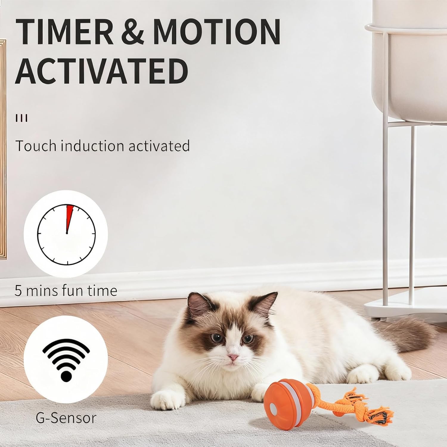 SPGSWCY Juguetes interactivos inteligentes para gatos de interior \...