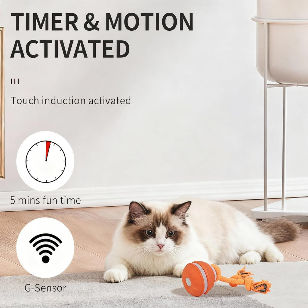 SPGSWCY Juguetes interactivos inteligentes para gatos de interior \...