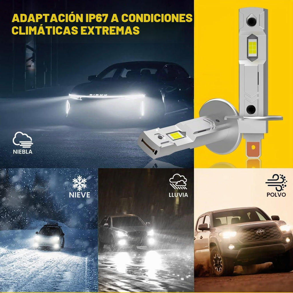 Bombilla H1LL\/H1 32000LM blanco frío 1:1 halógeno, 80000 horas de luz