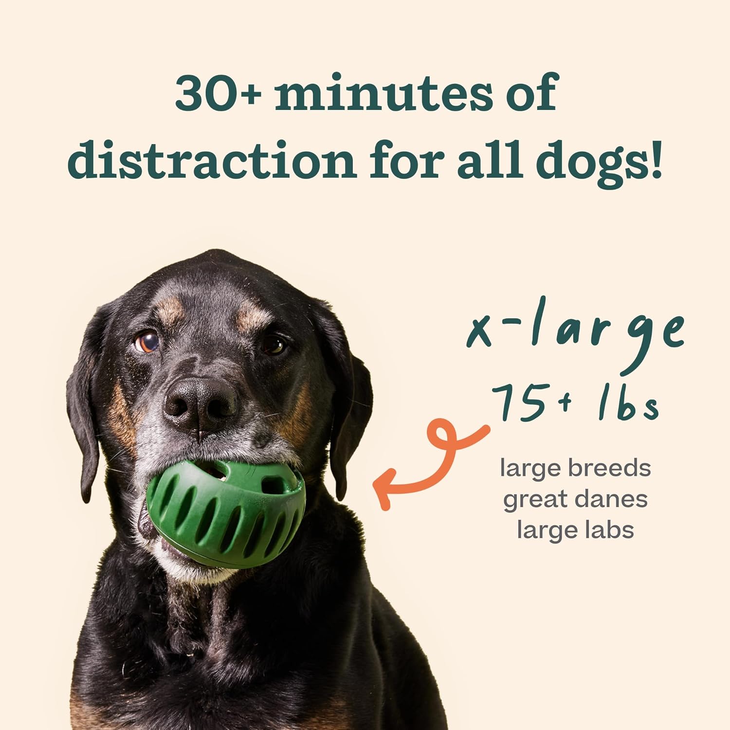 WOOF Paquete de iniciación \u2013 Juguetes interactivos para perros...