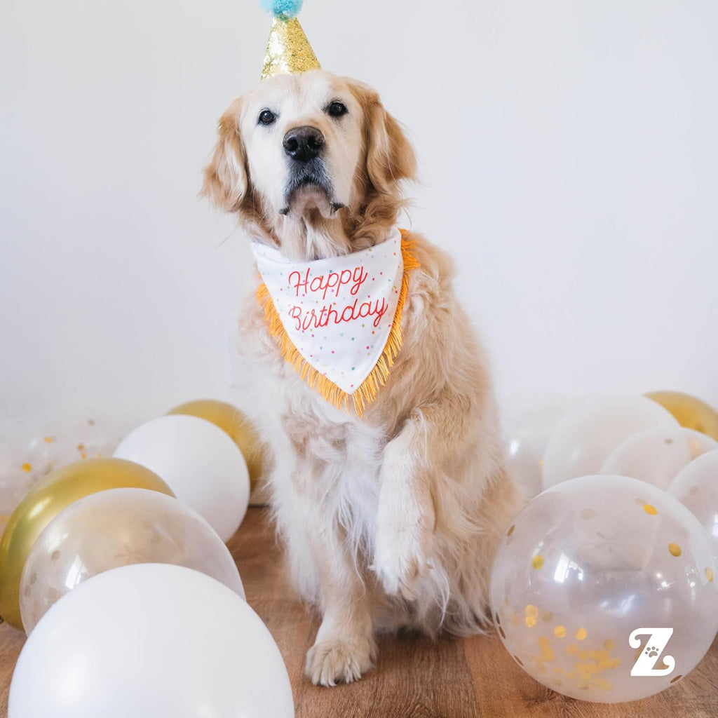 ZippyPaws Bandana y hueso de regalo de cumpleaños para perros, lind...