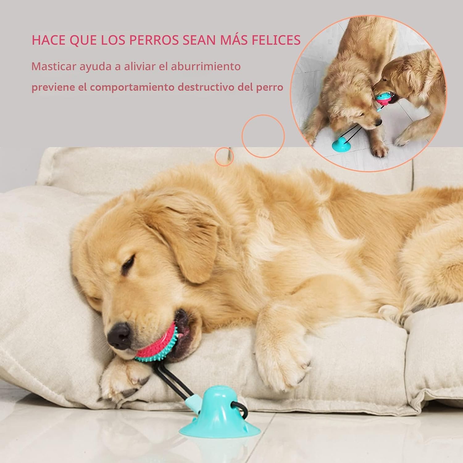 Askhald Juguetes para Perros Juguetes Masticables para Masticadores...