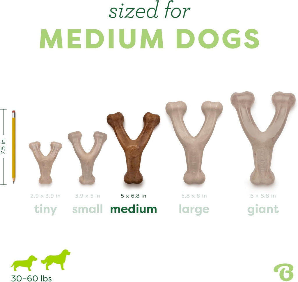 Benebone Wishbone - Juguete masticable duradero para perros mastica...