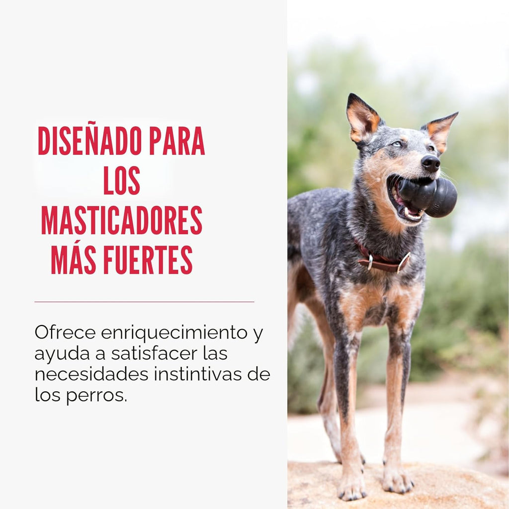 KONG Juguete Extremo para Perros - Juguete para Buscar y Masticar -...