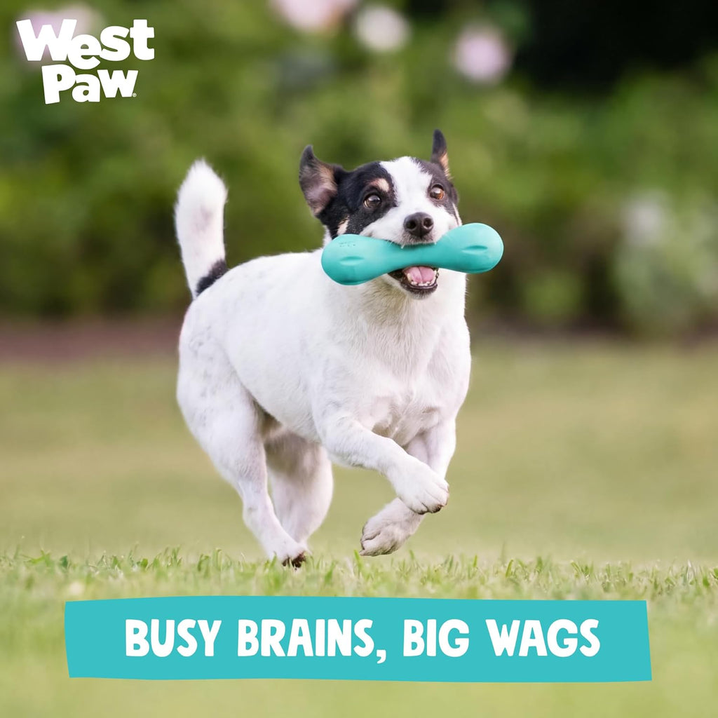 WEST PAW Zogoflex Hurley - Juguete masticable de hueso de perro \u2...