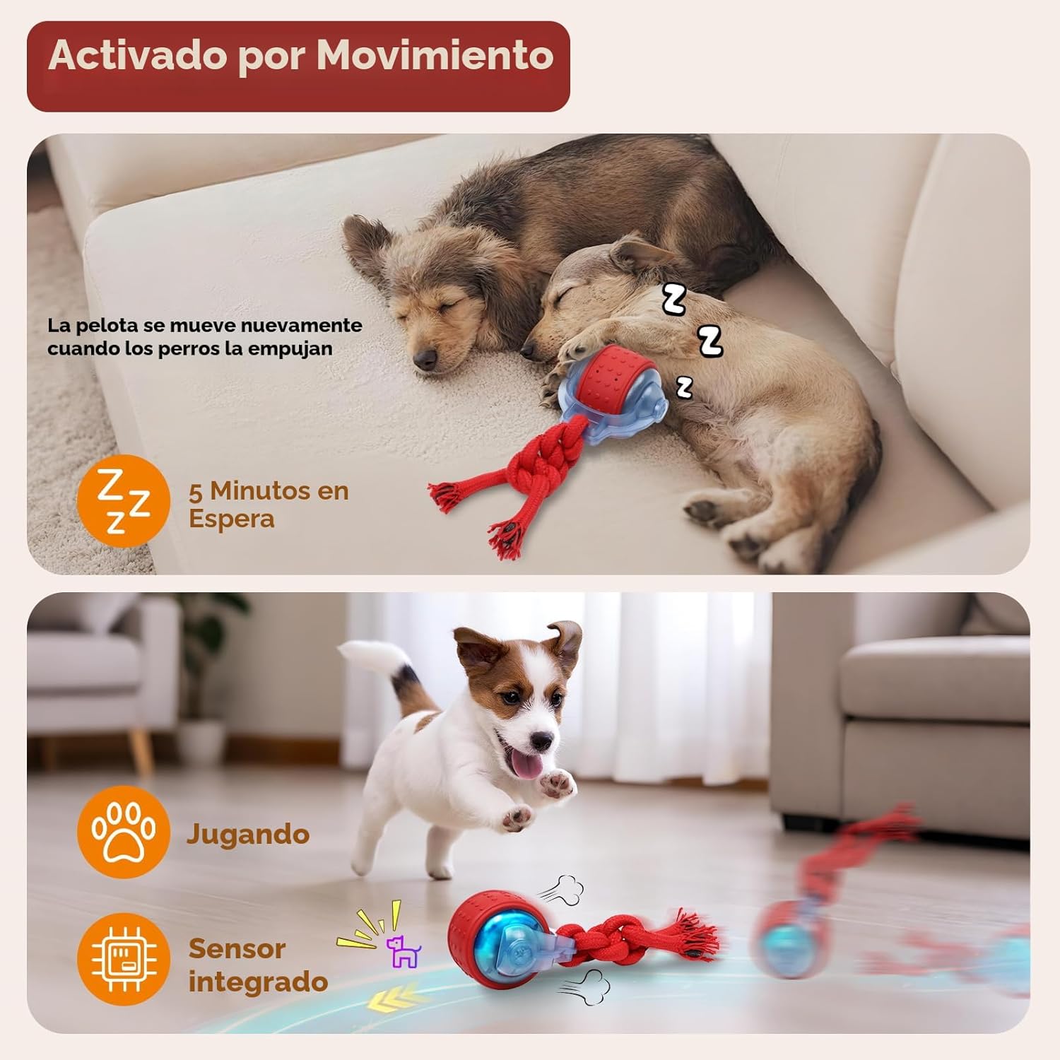 BENTOPAL Juguetes para Perros Pelota Interactiva para Perros con Pe...