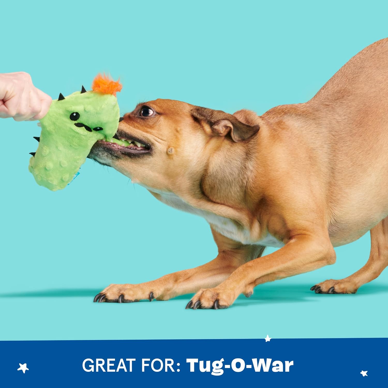Barkbox Juguete interactivo 2 en 1 de peluche para perros \u2013 Ju...