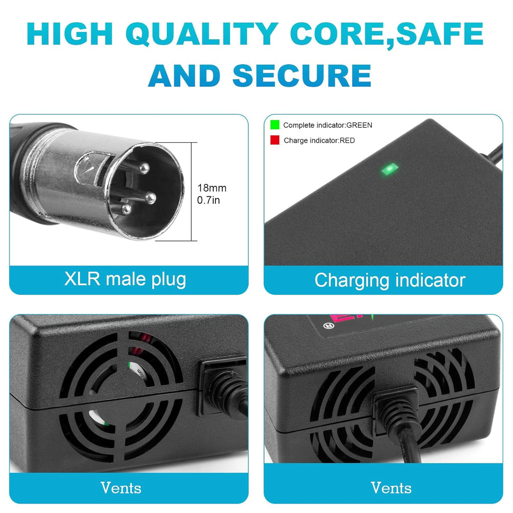 Cargador de batería con conector XLR macho de 3 pines de 24V 5A par...
