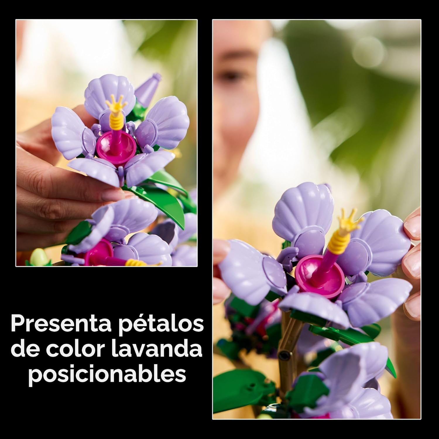 LEGO Botanicals - Juego de construcción de flores de hibisco - Bloq...