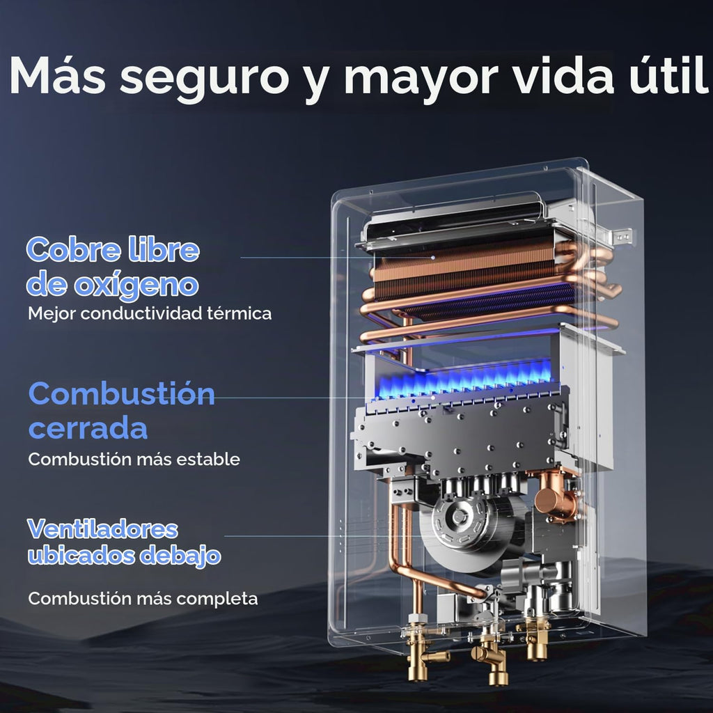 Ranein Calentador de agua sin tanque de gas propano, 5.3 GPM, 130,0...