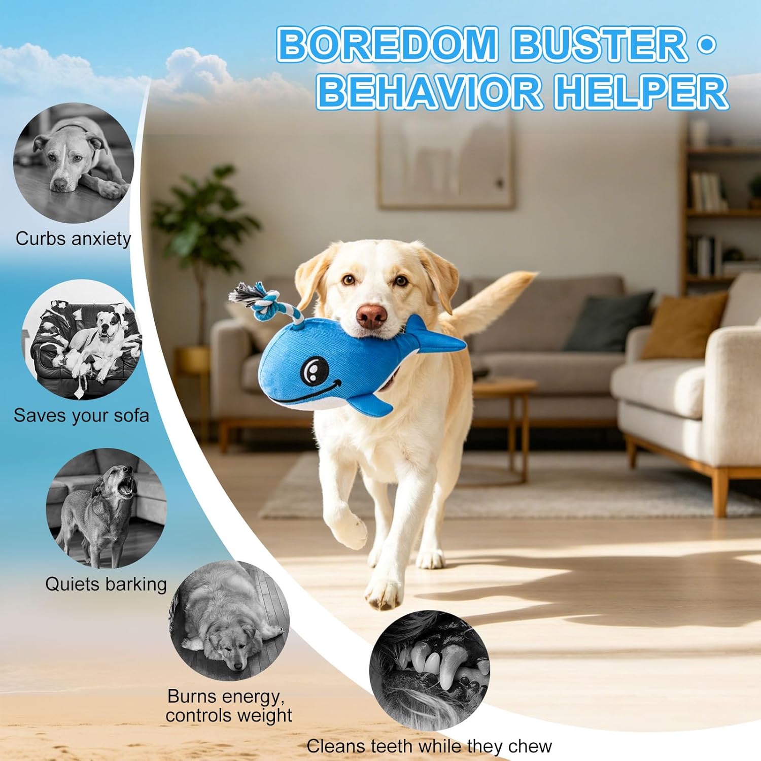 BEAUTYZOO Juguetes flotantes para piscina de agua para perros, paqu...