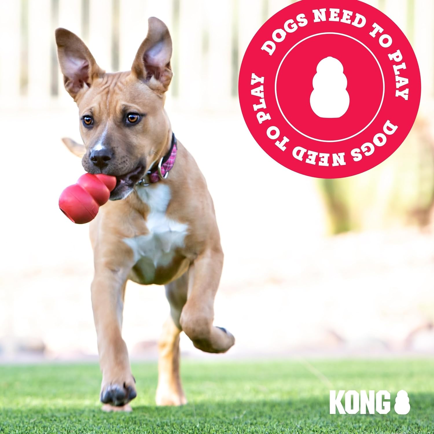 KONG Juguete extremo para perros, juguete para buscar y masticar, c...