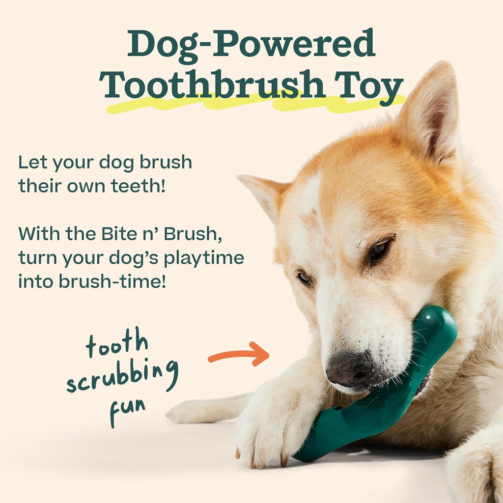 WOOF - Bite n' Brush Recambios Golosinas para el cepillo de die...