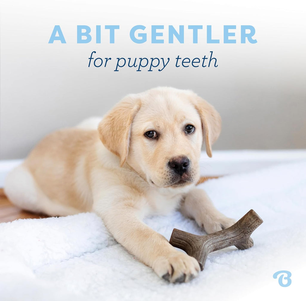 Benebone Puppy - Paquete de 2 juguetes masticables duraderos para p...