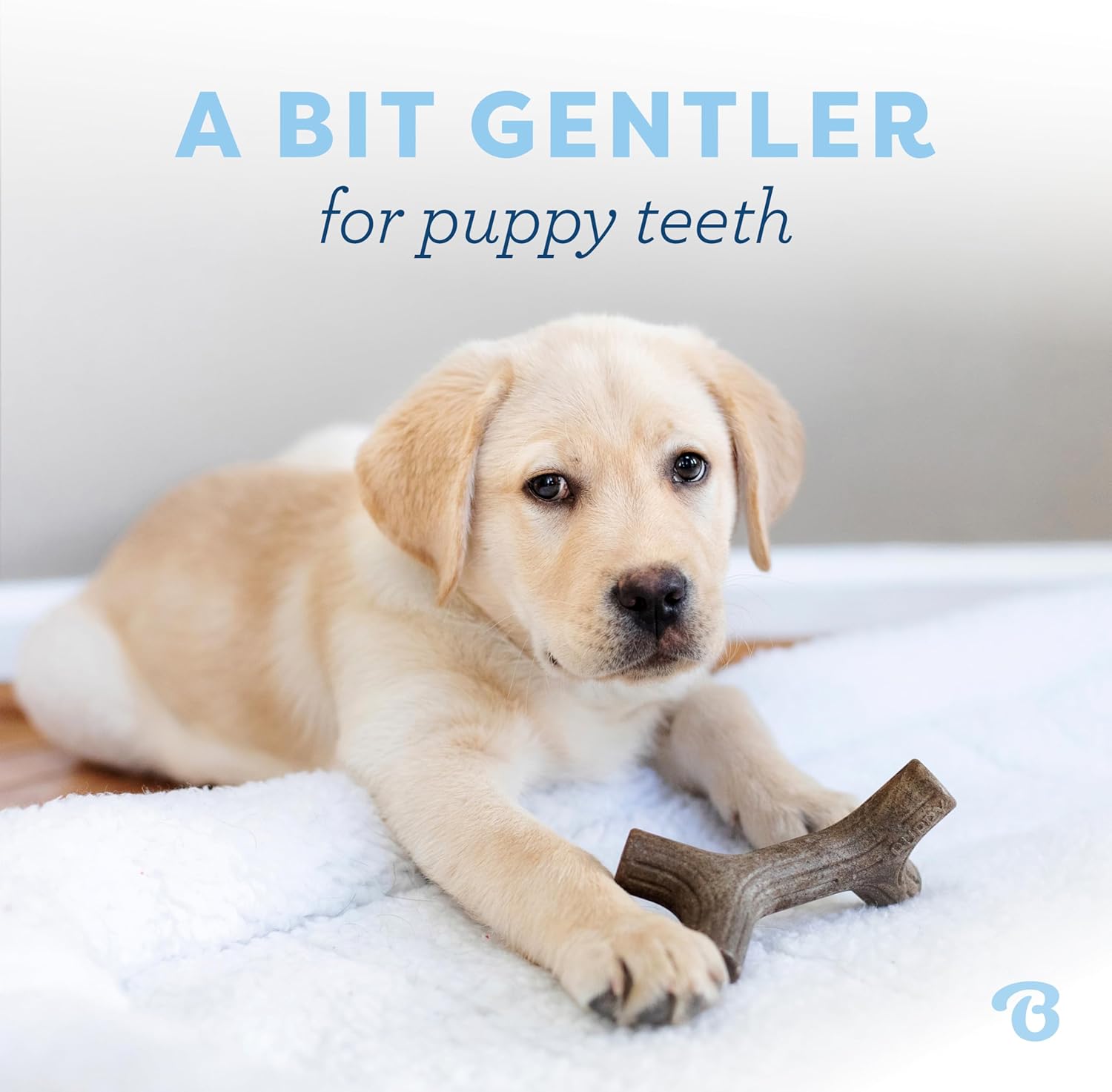 Benebone Puppy - Paquete de 2 juguetes masticables duraderos para p...
