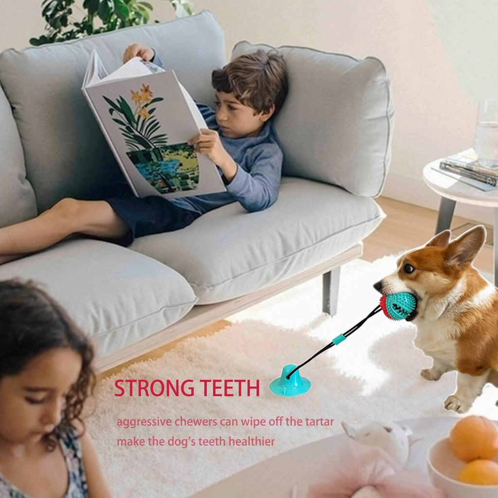 Askhald Juguetes para Perros Juguetes Masticables para Masticadores...