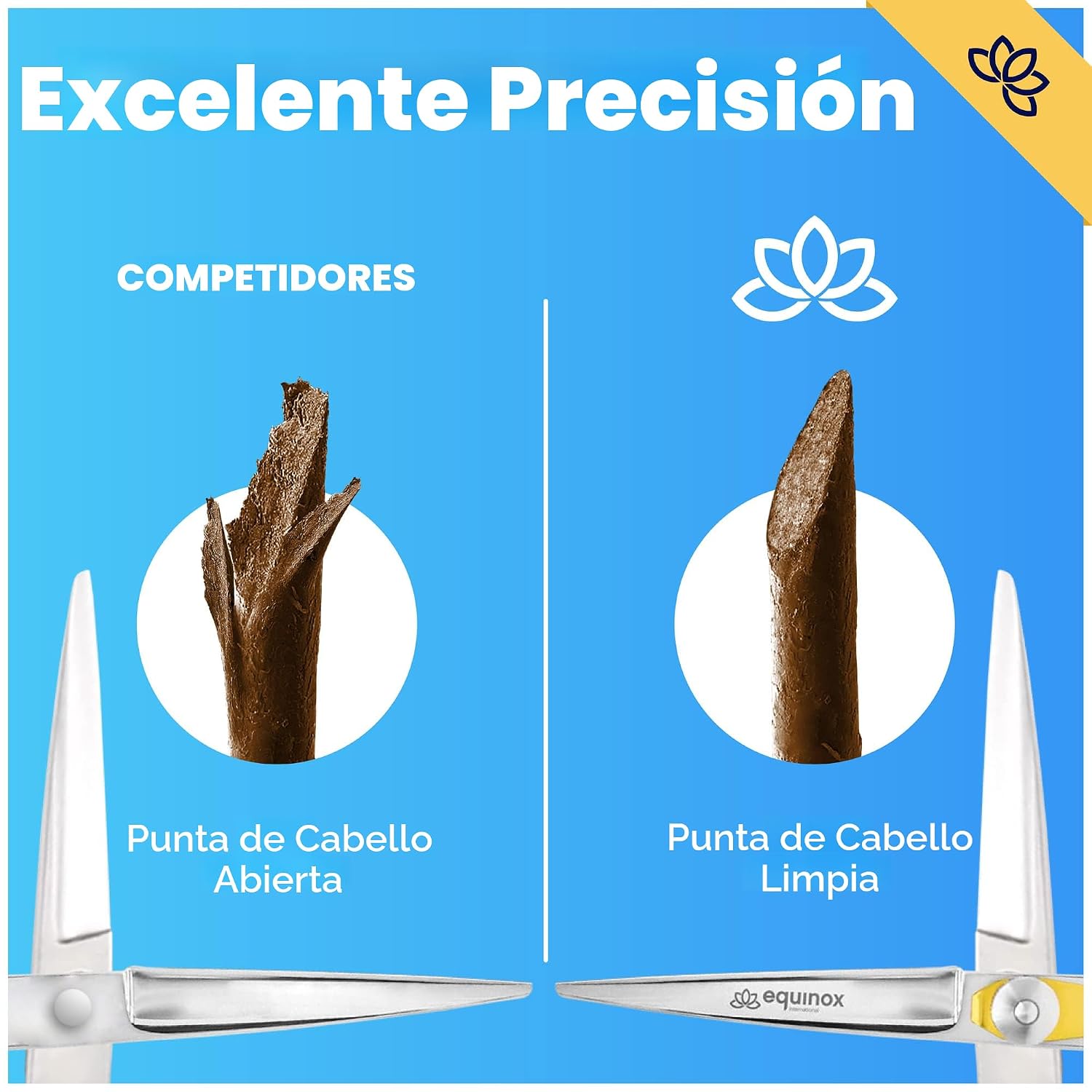 Equinox - Tijeras profesionales para cortar el cabello, longitud to...