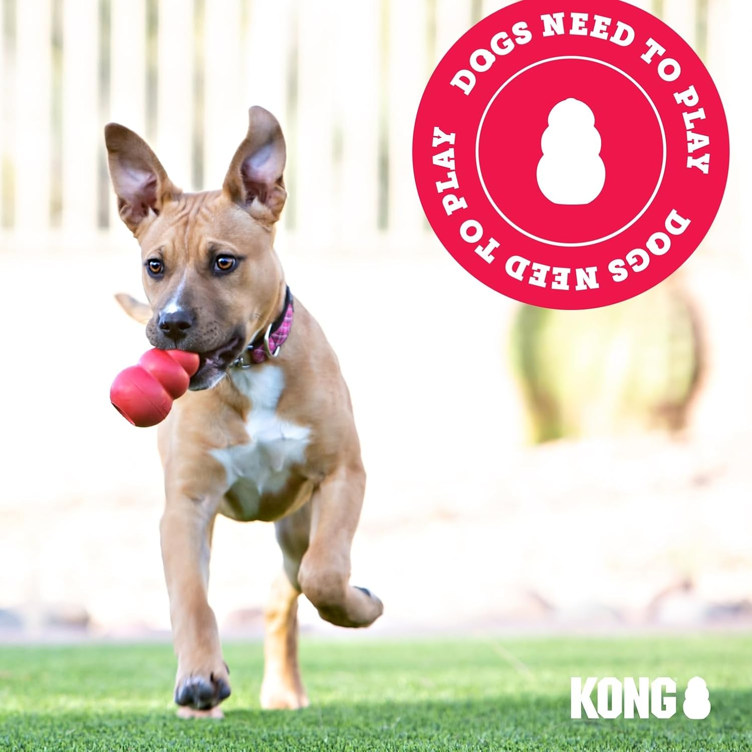 KONG Flyer - Juguete duradero para perros para jugar al aire libre...
