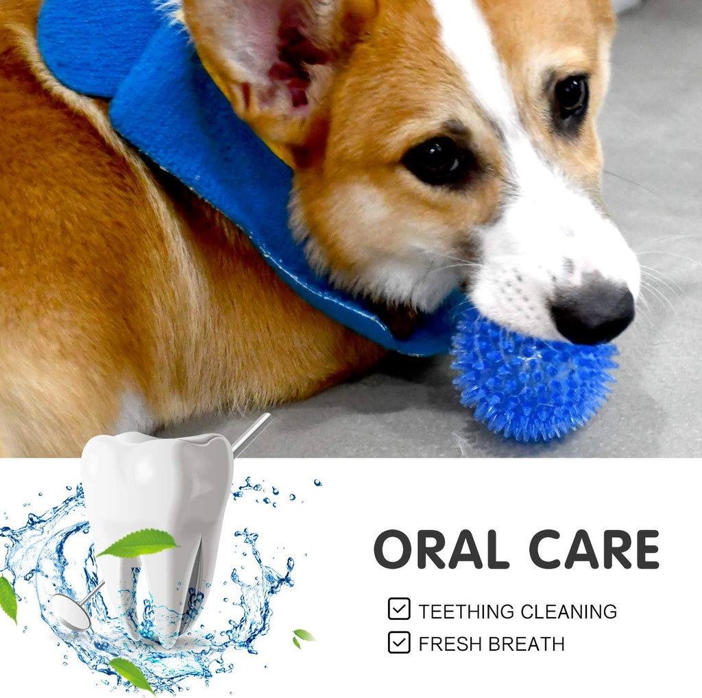 SHARLOVY Bolas chirriantes para mascotas y cachorros pequeños, paqu...