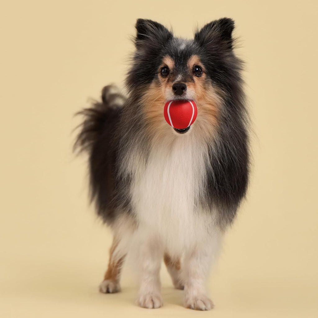 Playology Juguetes para perros | Bola masticable chirriante \u2013...