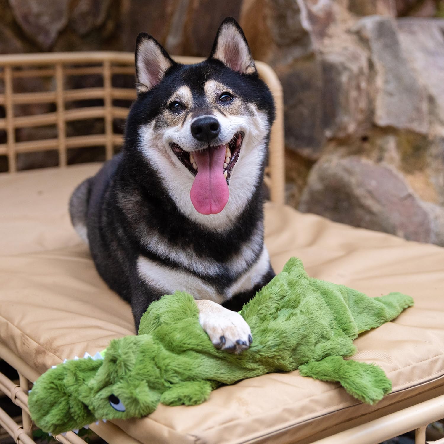 Best Pet Supplies Juguetes chirriantes para perros con tela suave y...